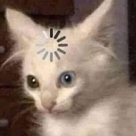 @nietus