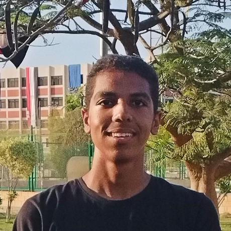 @AliMahmoudDev