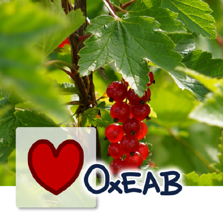 @0xEAB