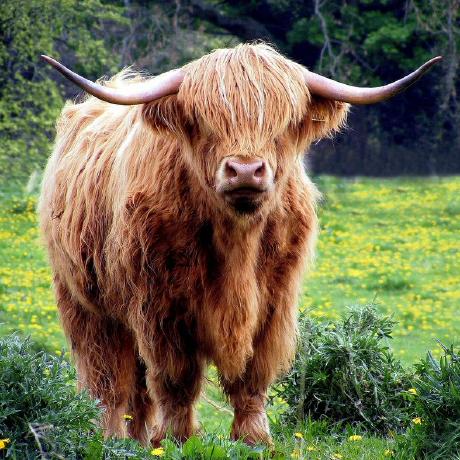 @marco13-moo